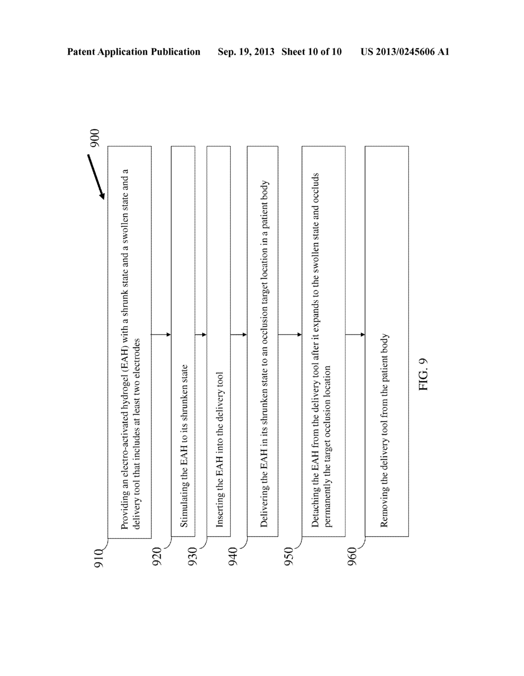 HYDROGEL BASED OCCLUSION SYSTEMS - diagram, schematic, and image 11