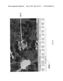 System and Method for Optimized Automated Layout of Solar Panels diagram and image