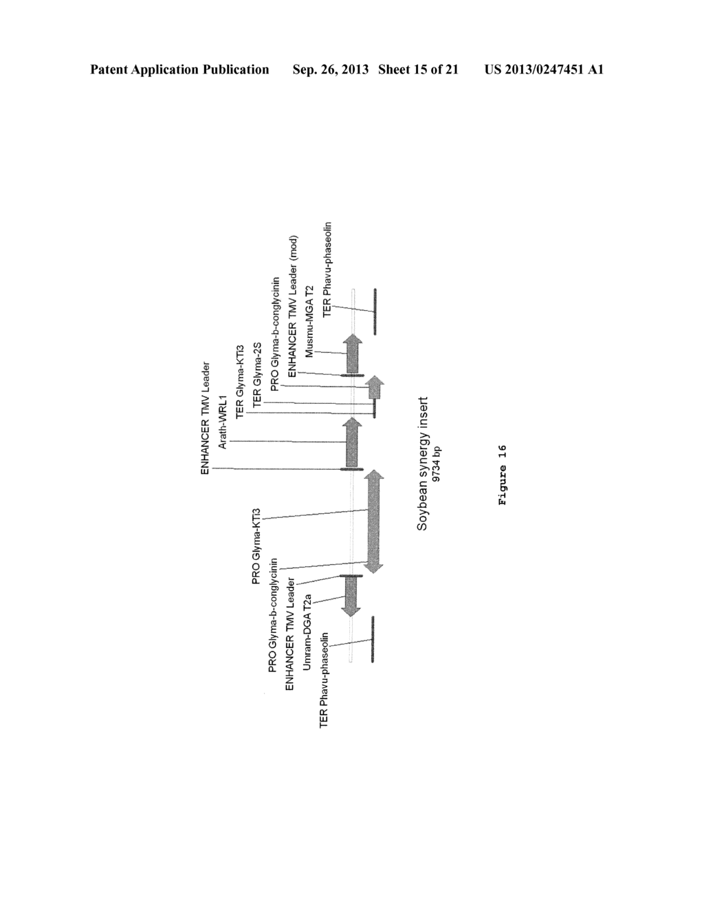 PROCESSES FOR PRODUCING LIPIDS - diagram, schematic, and image 16