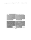 METHOD OF REFINING METAL ALLOYS diagram and image