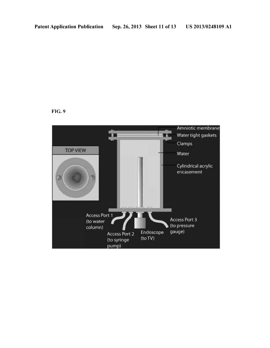 RAPIDLY CROSSLINKABLE ADHESIVES FOR BIOMEDICAL APPLICATIONS - diagram, schematic, and image 12