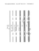 Multilayer Printed Wiring Board diagram and image