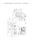 Animal Collision Avoidance System diagram and image