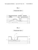 Display Device and Method for Manufacturing the Same diagram and image