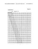 Method of Displaying an Autostereoscopic Image diagram and image