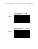 INKJET RECORDING APPARATUS AND INKJET RECORDING METHOD diagram and image