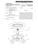 LIGHTING CONVERSION APPARATUS diagram and image