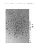 SURFACE MODIFICATION OF CLADDING MATERIAL diagram and image