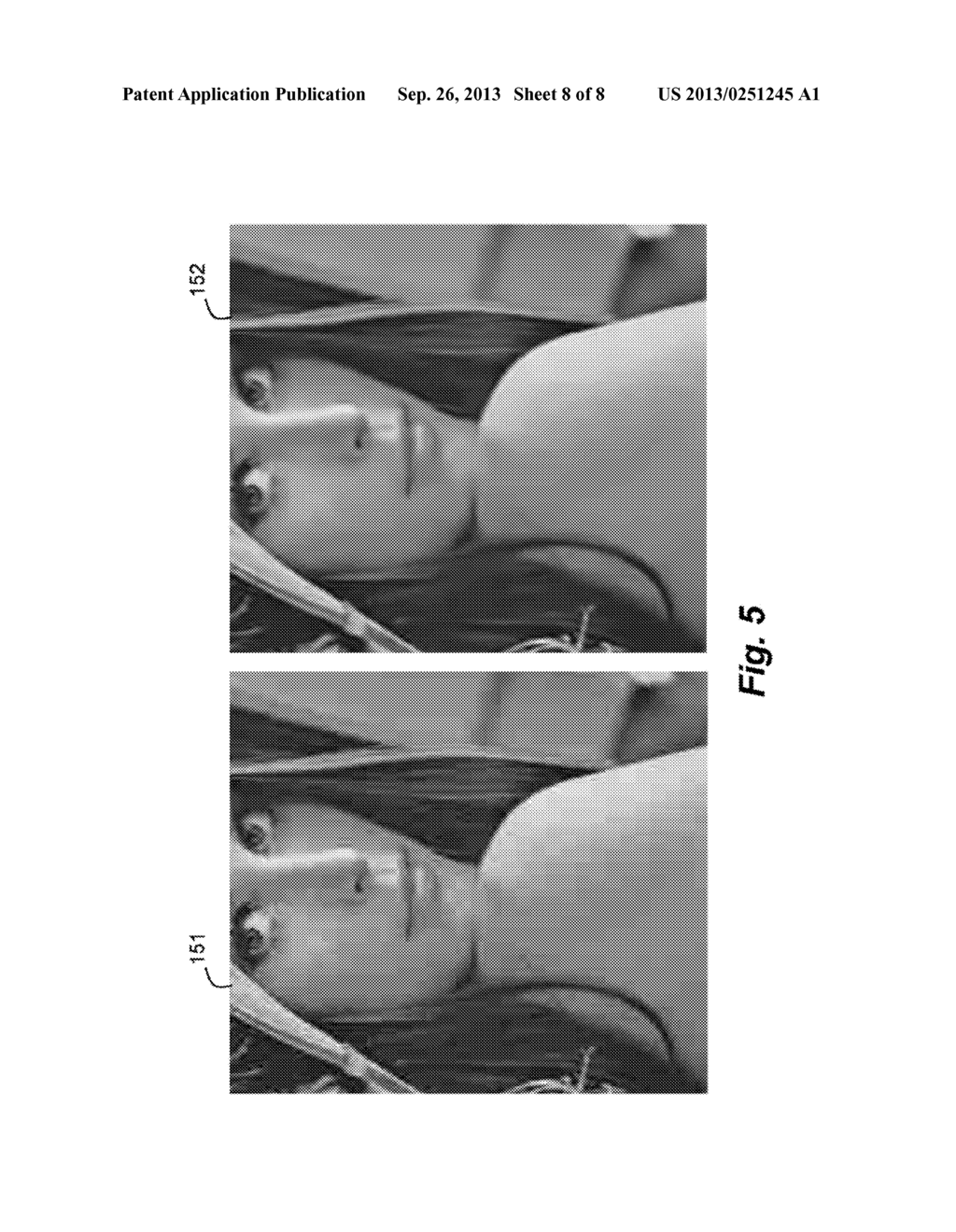 Method for Reducing Blocking Artifacts in Images - diagram, schematic, and image 09