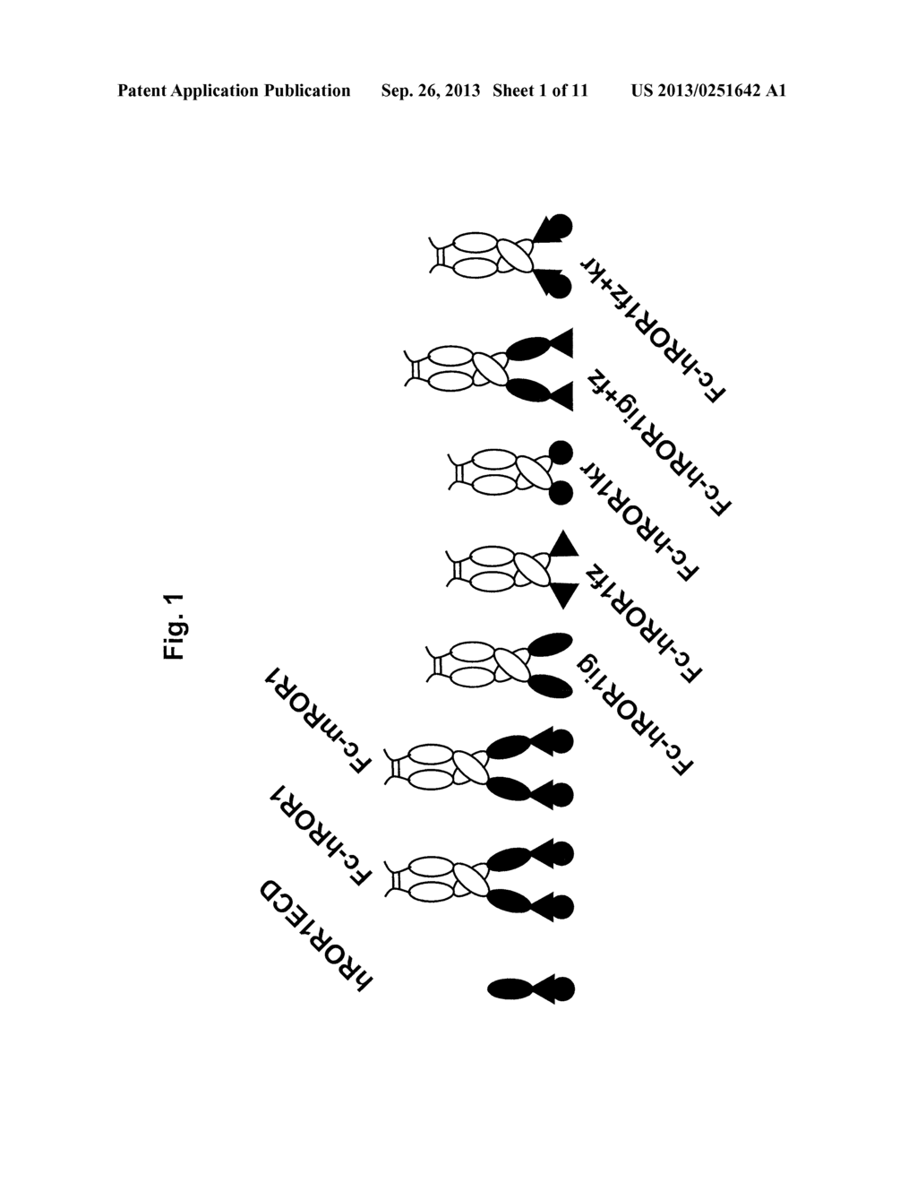 CHIMERIC RABBIT/HUMAN ROR1 ANTIBODIES - diagram, schematic, and image 02
