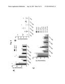 CHIMERIC RABBIT/HUMAN ROR1 ANTIBODIES diagram and image