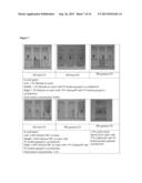 Cyclodextrin-Based Microemulsions, and Dermatological Uses Thereof diagram and image