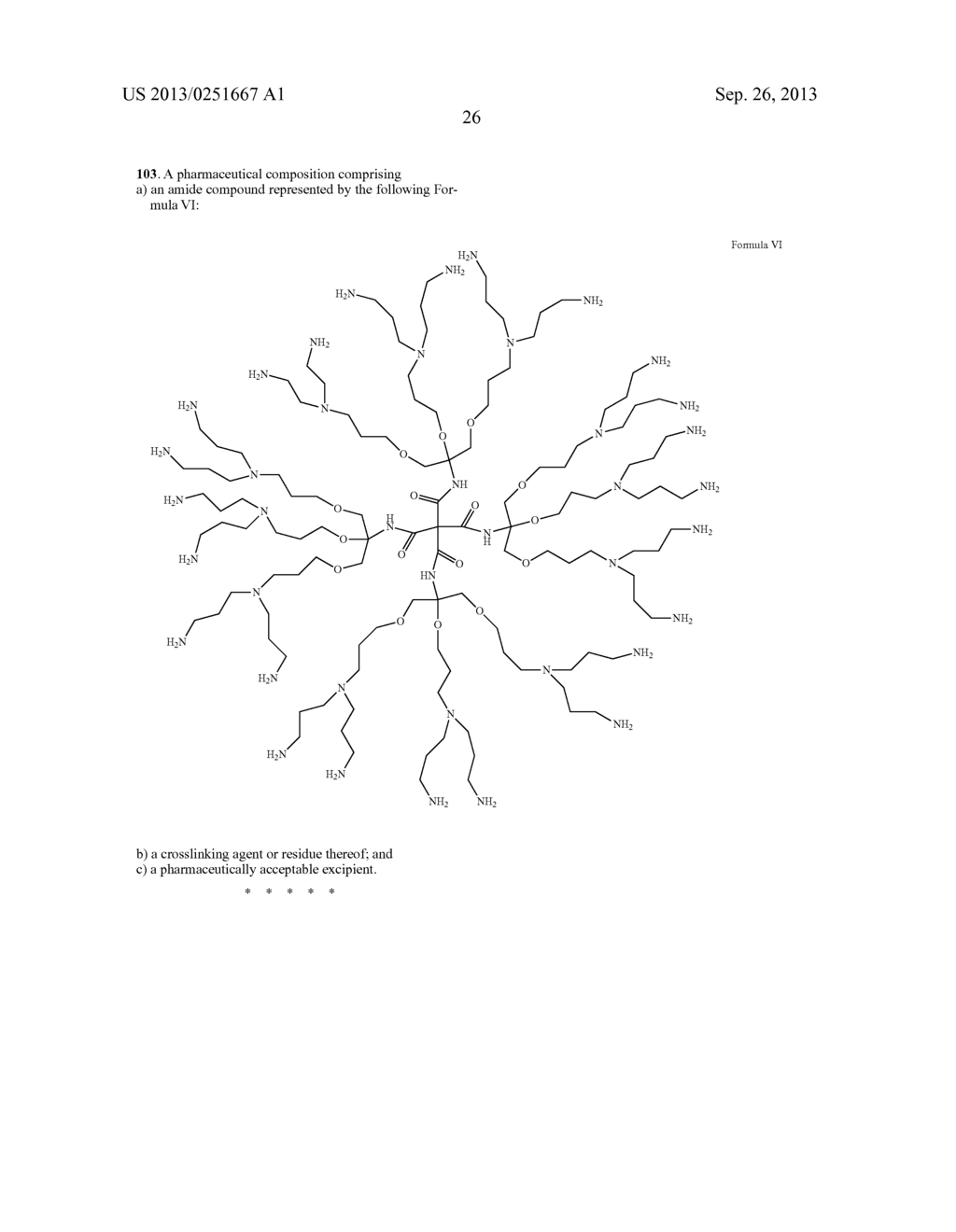 AMIDE DENDRIMER COMPOSITIONS - diagram, schematic, and image 27