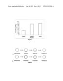 VEGETABLE AND FRUIT JUICE POWDER diagram and image