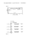 VEGETABLE AND FRUIT JUICE POWDER diagram and image