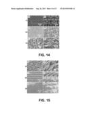 POLYMER HAVING SUPERHYDROPHOBIC SURFACE diagram and image