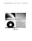 POLYMER HAVING SUPERHYDROPHOBIC SURFACE diagram and image