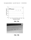 POLYMER HAVING SUPERHYDROPHOBIC SURFACE diagram and image