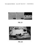 POLYMER HAVING SUPERHYDROPHOBIC SURFACE diagram and image