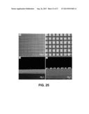 POLYMER HAVING SUPERHYDROPHOBIC SURFACE diagram and image