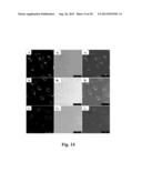 WATER-SOLUBLE NANOPARTICLES EXHIBITING UP-CONVERSION LUMINESCENCE, AND A     METHOD OF ONE-POT SYNTHESIS THEREOF diagram and image