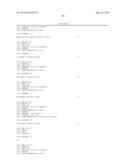 Primers and Methods for the Detection and Discrimination of Nucleic Acids diagram and image