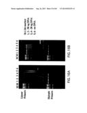 Primers and Methods for the Detection and Discrimination of Nucleic Acids diagram and image