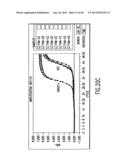 Primers and Methods for the Detection and Discrimination of Nucleic Acids diagram and image