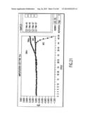 Primers and Methods for the Detection and Discrimination of Nucleic Acids diagram and image