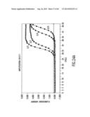 Primers and Methods for the Detection and Discrimination of Nucleic Acids diagram and image