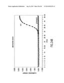 Primers and Methods for the Detection and Discrimination of Nucleic Acids diagram and image