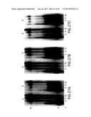 Primers and Methods for the Detection and Discrimination of Nucleic Acids diagram and image