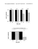 Primers and Methods for the Detection and Discrimination of Nucleic Acids diagram and image