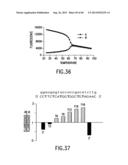 Primers and Methods for the Detection and Discrimination of Nucleic Acids diagram and image