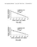 Primers and Methods for the Detection and Discrimination of Nucleic Acids diagram and image