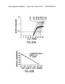 Primers and Methods for the Detection and Discrimination of Nucleic Acids diagram and image