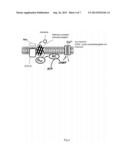 METHOD FOR IDENTIFYING OLFACTORY RECEPTOR INCLUDED IN ONE OLFACTORY CELL diagram and image