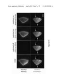 OPTICAL CONTROL OF PROTEIN ACTIVITY AND LOCALIZATION BY FUSION TO     PHOTOCHROMIC PROTEIN DOMAINS diagram and image