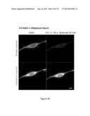 OPTICAL CONTROL OF PROTEIN ACTIVITY AND LOCALIZATION BY FUSION TO     PHOTOCHROMIC PROTEIN DOMAINS diagram and image