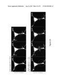 OPTICAL CONTROL OF PROTEIN ACTIVITY AND LOCALIZATION BY FUSION TO     PHOTOCHROMIC PROTEIN DOMAINS diagram and image