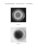 Method of Producing Volatile Organic Compounds from Microorganisms diagram and image