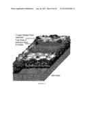 Method of Producing Volatile Organic Compounds from Microorganisms diagram and image