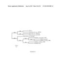 Method of Producing Volatile Organic Compounds from Microorganisms diagram and image