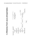 Ethanol Production in Microorganisms diagram and image