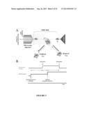 ANCESTRAL PROTEINS diagram and image