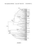 ANCESTRAL PROTEINS diagram and image