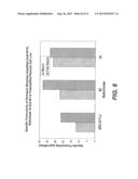 Methods Of Gene Amplification And Expression diagram and image