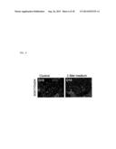 METHOD AND CULTURE MEDIUM FOR IMPROVING PLURIPOTENT STEM CELL     DIFFERENTIATION INDUCING EFFICIENCY diagram and image