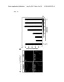 METHOD AND CULTURE MEDIUM FOR IMPROVING PLURIPOTENT STEM CELL     DIFFERENTIATION INDUCING EFFICIENCY diagram and image