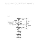 METHOD AND CULTURE MEDIUM FOR IMPROVING PLURIPOTENT STEM CELL     DIFFERENTIATION INDUCING EFFICIENCY diagram and image